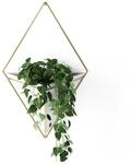 Umbra Trigg Wandvase & Geometrische Deko &ndash; &Uuml;bertopf F&uuml;r Zimmerpflanzen,