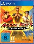 GameMill Entertainment, LLC Cobra Kai 2: Dojo's Rising - [Playstation 4]