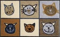 wash+dry Fu&szlig;matte, Miau Miau 50x75 cm, innen und au&szlig;en, waschbar, Braun