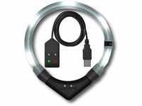 LEUCHTIE® Leuchthalsband Easy Charge für Hunde, USB aufladbar, wasserdichtes LED