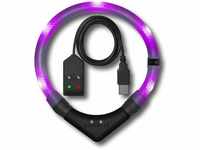 LEUCHTIE® Leuchthalsband Easy Charge für Hunde, USB aufladbar, wasserdichtes LED