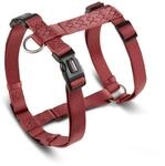Wolters Geschirr Professional, Gr&ouml;&szlig;e:S 30-40 cm x 10 mm, Farbe:rost rot
