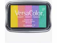 Rayher 2839799 Tsukineko Versacolor Pigment Stempelkissen, Regenbogen, 5 Farben,