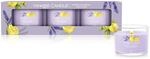 Yankee Candle Duftkerzen-Geschenkset | Votivkerzen mit Lemon Lavender 