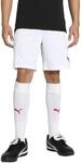 teamLIGA Shorts