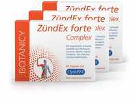 BOTANICY Zündex Forte Complex 3er Pack - OptiMSM Hochdosiert, Extrakt aus Boswellia