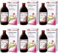 Dr. Wolz Vitalkomplex 3 L ( 6 x 500ml ) + 10 H&uuml;bner Proben