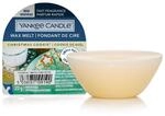 Yankee Candle Duftwachs | Christmas Cookie | bis zu 8 Stunden Duft | 1 St&uuml;ck