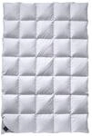Billerbeck Daune Decke 308 Ambiente Mono, circa 155 x 220 cm (8501100004)