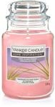 Yankee Candle Island Sunset Tropical Fruits and Citrus Paradise Duft, beruhigende