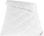 f.a.n. frankenstolz 37301-09625-10 Duo-Steppbett 155 x 220 cm, Winterdecke,...