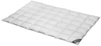 Spessarttraum Bettdecke WILDENTE, 135x200cm, Daunendecke, Ganzjahresdecke...
