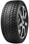 Delinte 205/50 R17 93H Winterreifen 3PMSF Reifen
