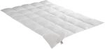 Irisette Daunendecke Edda medium Mono Ganzjahresdecke, aus 100% Baumwolle 90%...