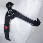 TRE Ponti Geschirr Brio schwarz reflektierender Rand 80-100 cm bis ca 30-40 kg