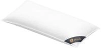 Spessarttraum Daunenkissen 40x80 cm Bronze | 3-Kammer Kopfkissen | Allergiker
