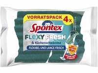 Spontex Flexy Fresh x4, der effiziente Reinigungsschwamm mit antibakteriellem Schutz,
