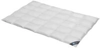 Spessarttraum Daunendecke 135x200 cm Ganzjahr normal | 60% Daunen / 40% Federn...