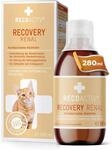 RECOACTIV Recovery Renal f&uuml;r Katzen, 1 x 280ml, hochkalorisches