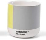 Pantone doppelwandiger Porzellan-Thermobecher Cortado, ohne Henkel, 190ml, CoY 2021
