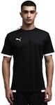 Puma Herren Teamliga Striped Jersey Shirt (1er Pack)