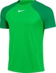 Nike DH9225-329 DF ACADEMY PRO Sweatshirt Men's Green Spark/White S