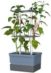 GUSTA GARDEN Charly Chili Chilitopf - Pflanzentopf mit Rankhilfe, Bew&auml;sserungssystem