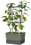 GUSTA GARDEN Charly Chili Chilitopf - Pflanzentopf mit Rankhilfe, Bew&auml;sserungssystem
