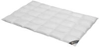 Spessarttraum Daunendecke 135x200 cm Ganzjahr normal | 90% Daunen / 10% Federn...