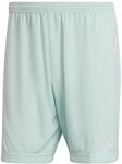 Adidas Herren Shorts Entrada 22 Shorts