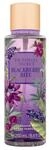 Victoria's Secret Blackberry Bite f&uuml;r Damen 250 ml