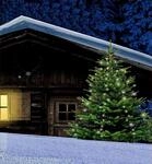 Star-Max Lichterschn&uuml;re mit 160 LEDs - 8 Str&auml;nge je 2m