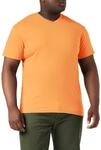 Stedman Apparel Herren Classic-T V-Ausschnitt/ST2300 Regular Fit Kurzarm T-Shirt Gr.