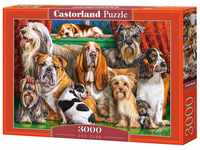 Castorland C-300501-2 Dog Club, 3000 Teile Puzzle, bunt