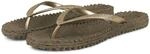 Ilse Jacobsen Damen Glitzer Flip Flop, CHEERFUL01 CHEERFUL01, Zehentrenner, Braun