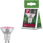Paulmann 28974 Grow Green Edition Filament 230V LED Reflektor GU10 95lm 3,5W 1100K