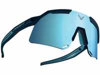 Dynafit Unisex Ultra Evo Sonnenbrille, Blaubeere/Sturmblau, Katze 3 (Mehrfarbig)