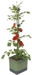 GUSTA GARDEN Tom Tomato Tomatentopf Hellgrau - Pflanzentopf mit Rankhilfe,