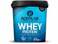 Bodylab24 Whey Protein Pulver, Erdbeer & weiße Chocolate Chunks, 2kg