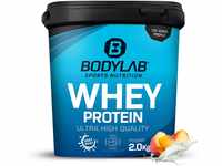 Bodylab24 Whey Protein Pulver, Pfirsich-Joghurt, 2kg