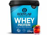 Bodylab24 Whey Protein Pulver, Fruchtmix, 2kg