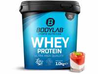 Bodylab24 Whey Protein Pulver, Pannacotta, 1kg