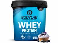 Bodylab24 Whey Protein Pulver, Blaubeer-Muffin, 2kg