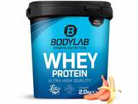 Bodylab24 Whey Protein Pulver, Rote Banane, 2kg