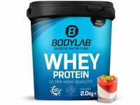 Bodylab24 Whey Protein Pulver, Pannacotta, 2kg