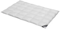 Spessarttraum Daunendecke 200x220 cm Ganzjahr normal | 100% G&auml;nsedaunen | 950g