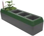 Bio Green Fensterbank-Kr&auml;uterbeet Provence | integriertes Bew&auml;sserungssystem | 4