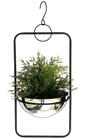 DanDiBo Blumenampel Innen Metall Wand H&auml;ngepflanzen 54 cm 96083 M mit Topf Silber