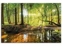 Artland Leinwandbild Wandbild Bild auf Leinwand 90x60 cm Wanddeko Wald Natur