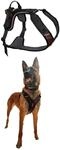Non-stop dogwear Rock Harness |130| F&uuml;hr und Alltagsgeschirr, Gr&ouml;&szlig;e:M